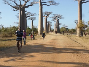 viale-baobab.jpg